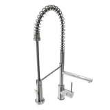 Maggiore 2.0 Dual-Spout Professional Kitchen Faucet in Chrome