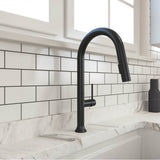 BOCCHI - Tronto 2.0 Pull-Down Kitchen Faucet in Matte Black - Matte Black