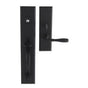 Bouvet - Entrance Handle Set - Complete full dummy set - Pewter 012