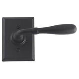 Bouvet - Lever set on rosette - Complete full dummy set - Pewter 012