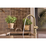 Litze Bar Faucet with Arc Spout and Industrial Handle Kit