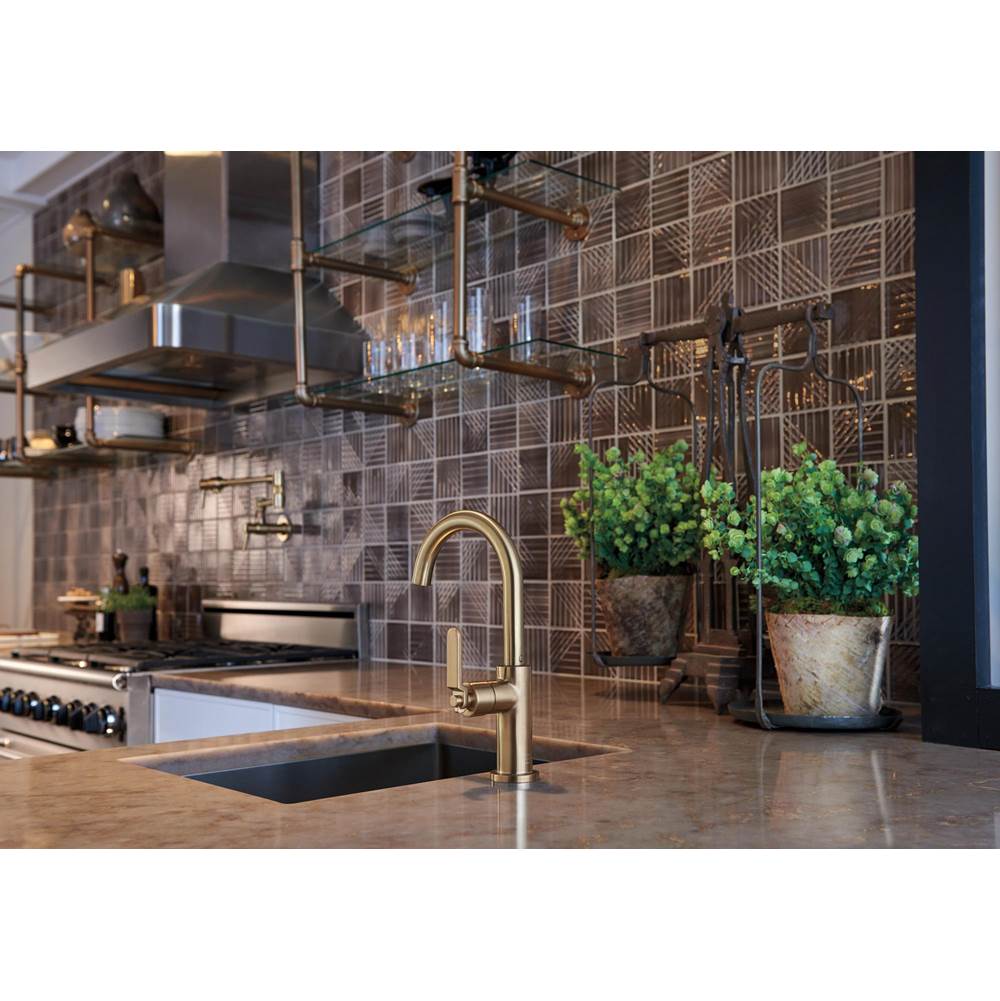 Litze Bar Faucet with Arc Spout and Industrial Handle Kit