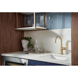 The TulhamE Kitchen Collection by Brizo Bar Faucet