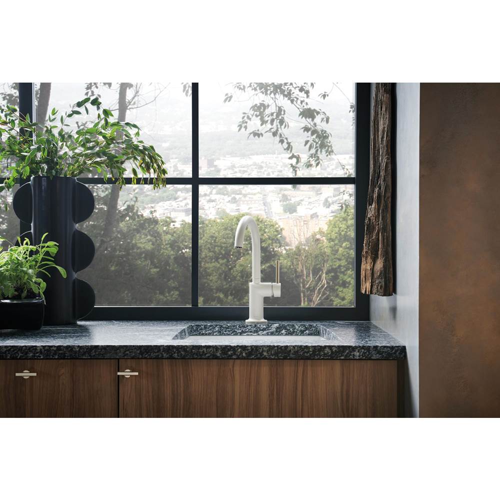 Odin Bar Faucet with Arc Spout - Less Handle