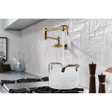 European Linear Wall Mount Pot Filler