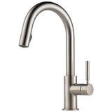 Brizo - Solna Single Handle Pull-Down Kitchen Faucet - Stainless