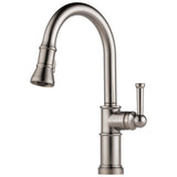 Brizo - Artesso Single Handle Pull-Down Kitchen Faucet - Stainless
