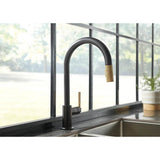 Litze Pull-Down Faucet with Arc Spout and Knurled Handle