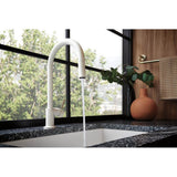 Odin Pull-Down Faucet with Arc Spout - Less Handle