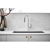 Odin Pull-Down Faucet with Arc Spout - Less Handle