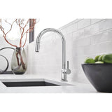Odin Pull-Down Faucet with Arc Spout - Less Handle