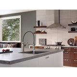Artesso Single Handle Articulating Kitchen Faucet