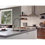 Artesso Single Handle Articulating Kitchen Faucet