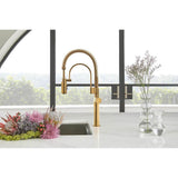 Odin Semi-Professional Kitchen Faucet - Less Handle