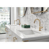 Jason Wu for BrizoE Single-Handle Lavatory Faucet 1.5 GPM