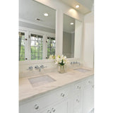 Tresa Two-Handle Wall Mount Lavatory Faucet with Lever Handles 1.5 GPM