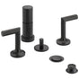 Brizo - Jason Wu for BrizoE Bidet - Matte Black