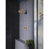 Litze Double Robe Hook