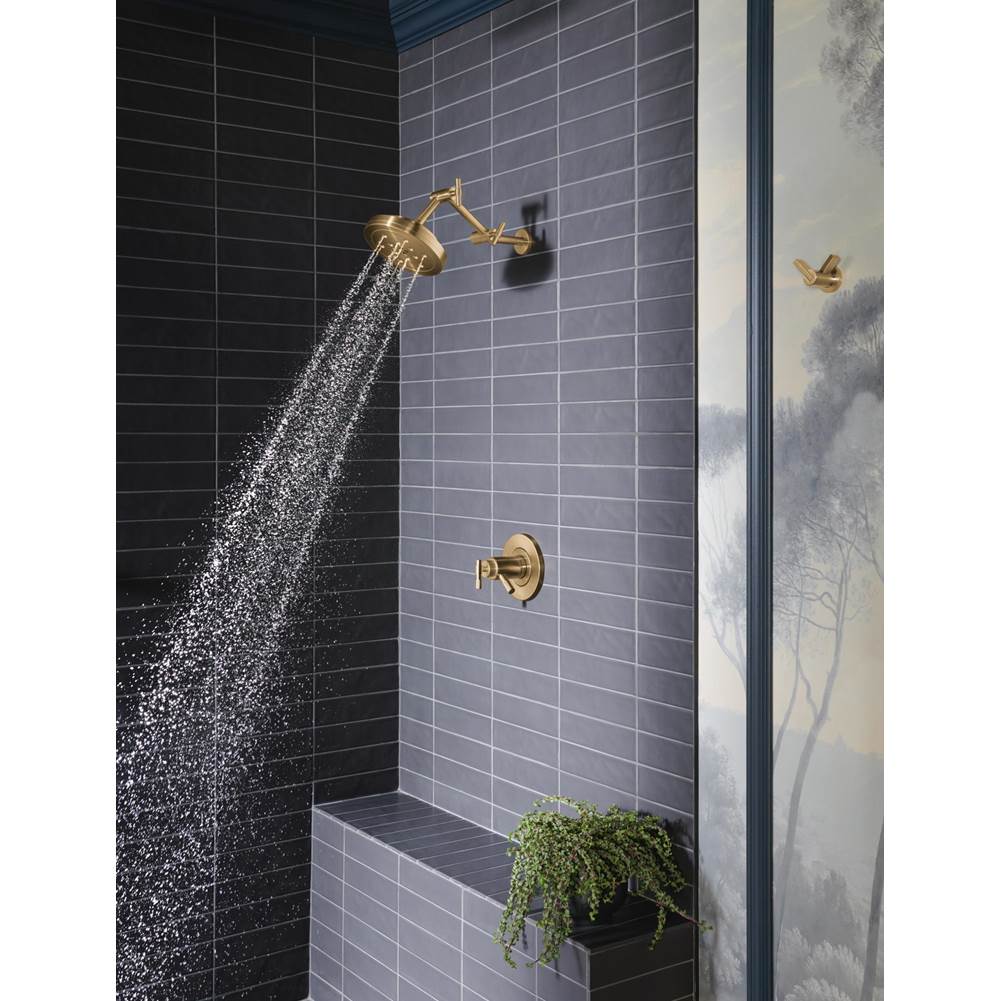 Litze Double Robe Hook