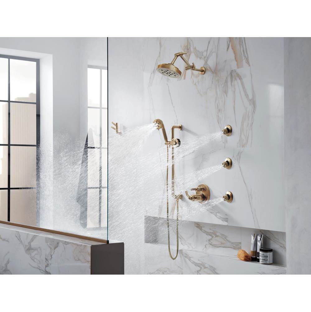 Litze Rotating Double Robe Hook With Knurling