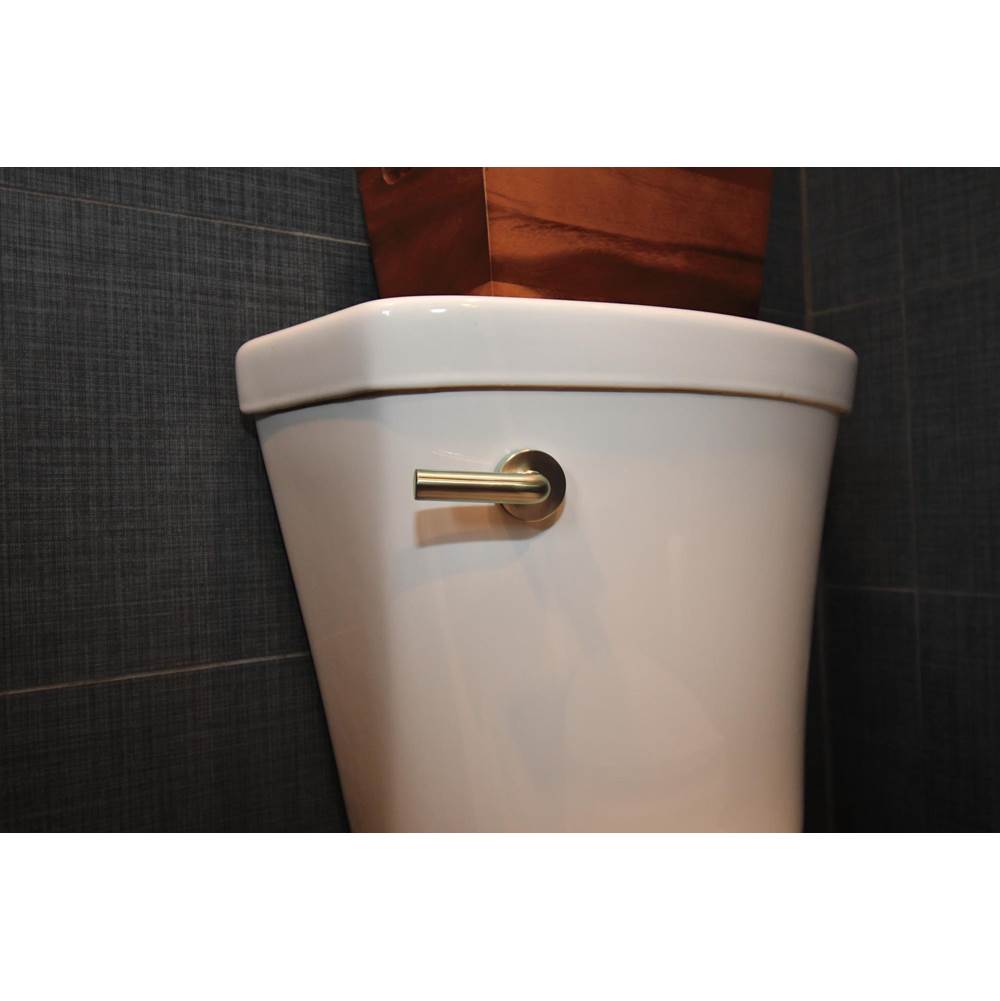 Litze Universal Flush Lever