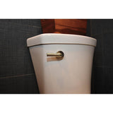 Litze Universal Flush Lever