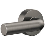Brizo - Litze Universal Flush Lever - Luxe Steel