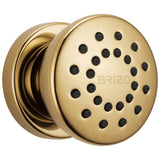 Brizo - Universal Showering Touch-Clean Round Body Spray - Polished Gold