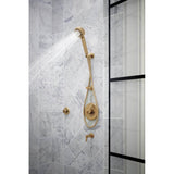 Invari H2OKineticMulti-Function Wall Mount Handshower