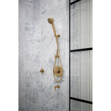 Invari H2OKineticMulti-Function Wall Mount Handshower