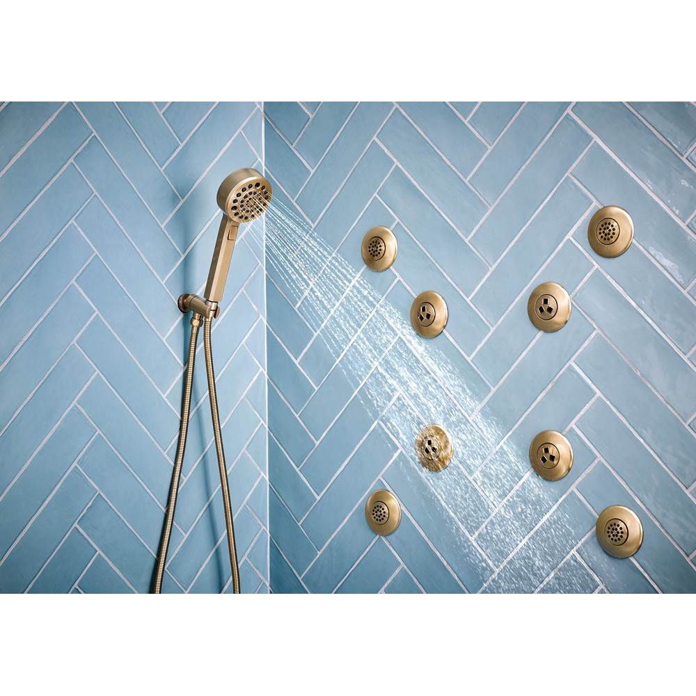 LevoirE H2OKineticMulti-Function Wall Mount Handshower