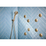 LevoirE H2OKineticMulti-Function Wall Mount Handshower