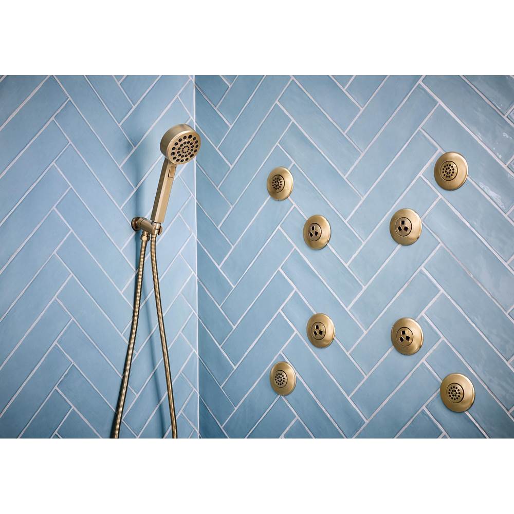 LevoirE H2OKineticMulti-Function Wall Mount Handshower