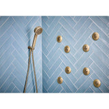 LevoirE H2OKineticMulti-Function Wall Mount Handshower