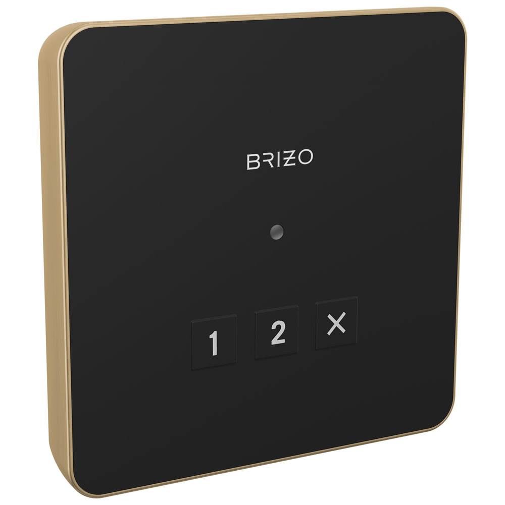 Brizo - Other Square Exterior Control - Lumicoat Luxe Gold