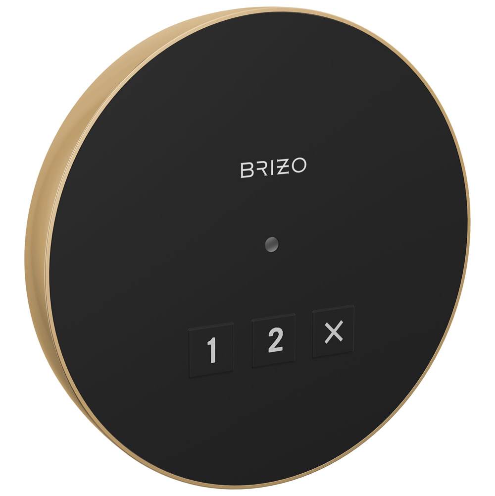 Brizo - Other Round Exterior Control - Lumicoat Polished Gold