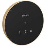 Brizo - Other Round Exterior Control - Lumicoat Polished Gold