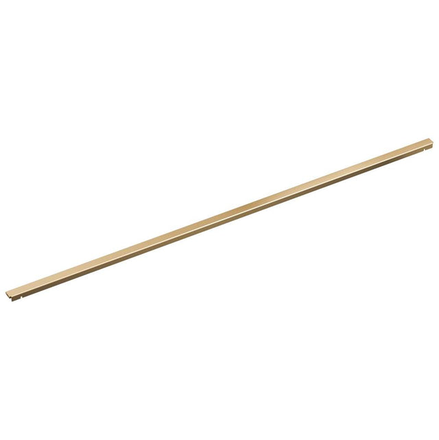 Brizo - Other 48'' Linear Shower Drain Wall Trim - Polished Gold
