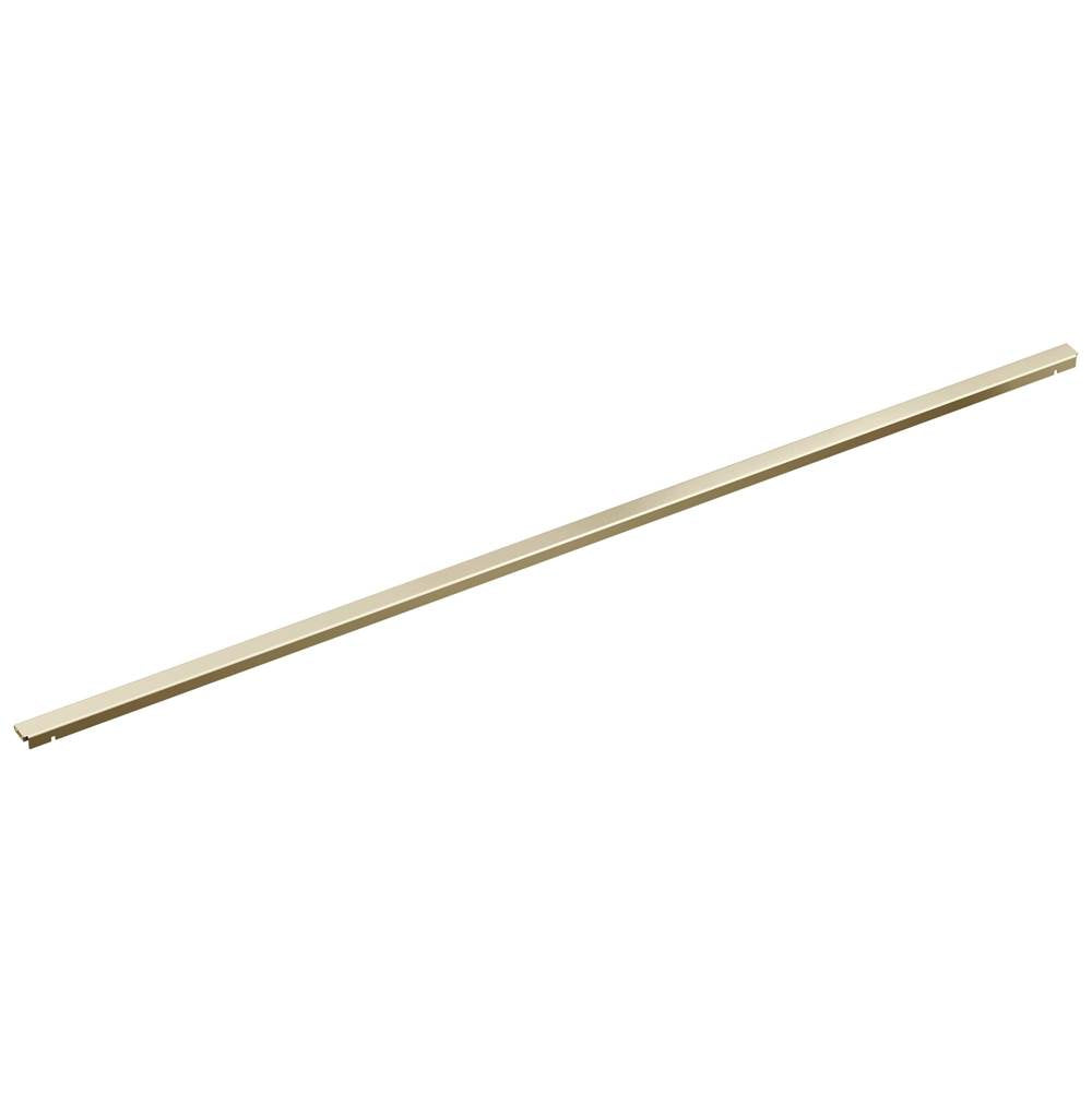 Brizo - Other 48'' Linear Shower Drain Wall Trim - Polished Nickel