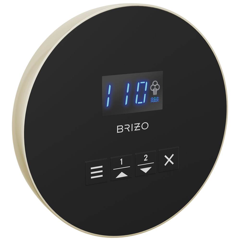 Brizo - Other MystixE Round Steam Control - Polished Nickel
