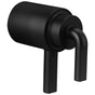 Brizo - Litze Tempassure Thermostatic Trim Handle Kit - Notch Lever - Matte Black