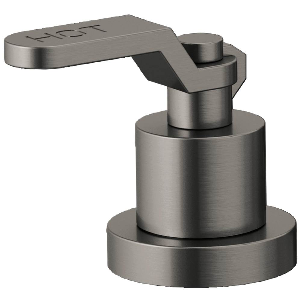 Brizo - Litze Roman Tub Faucet Industrial Lever Handle Kit - Luxe Steel