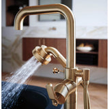 Litze TempAssure Thermostatic Valve With Integrated Diverter Industrial Lever Handle Kit