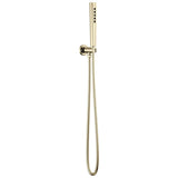 Brizo - LevoirE Handshower - Polished Nickel