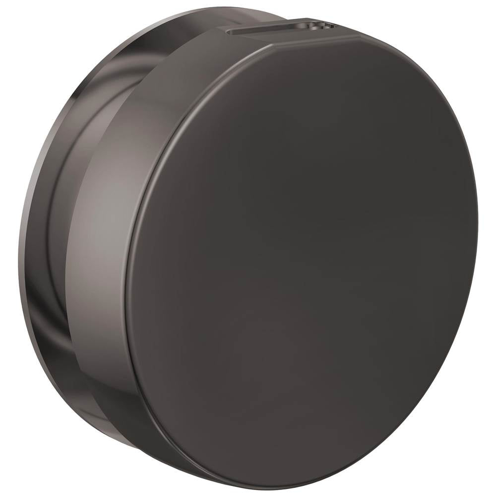 Brizo - Other MystixE Round Steam Head - Brilliance Black Onyx