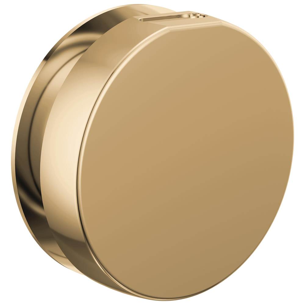 Brizo - Other MystixE Round Steam Head - Polished Gold