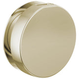 Brizo - Other MystixE Round Steam Head - Polished Nickel