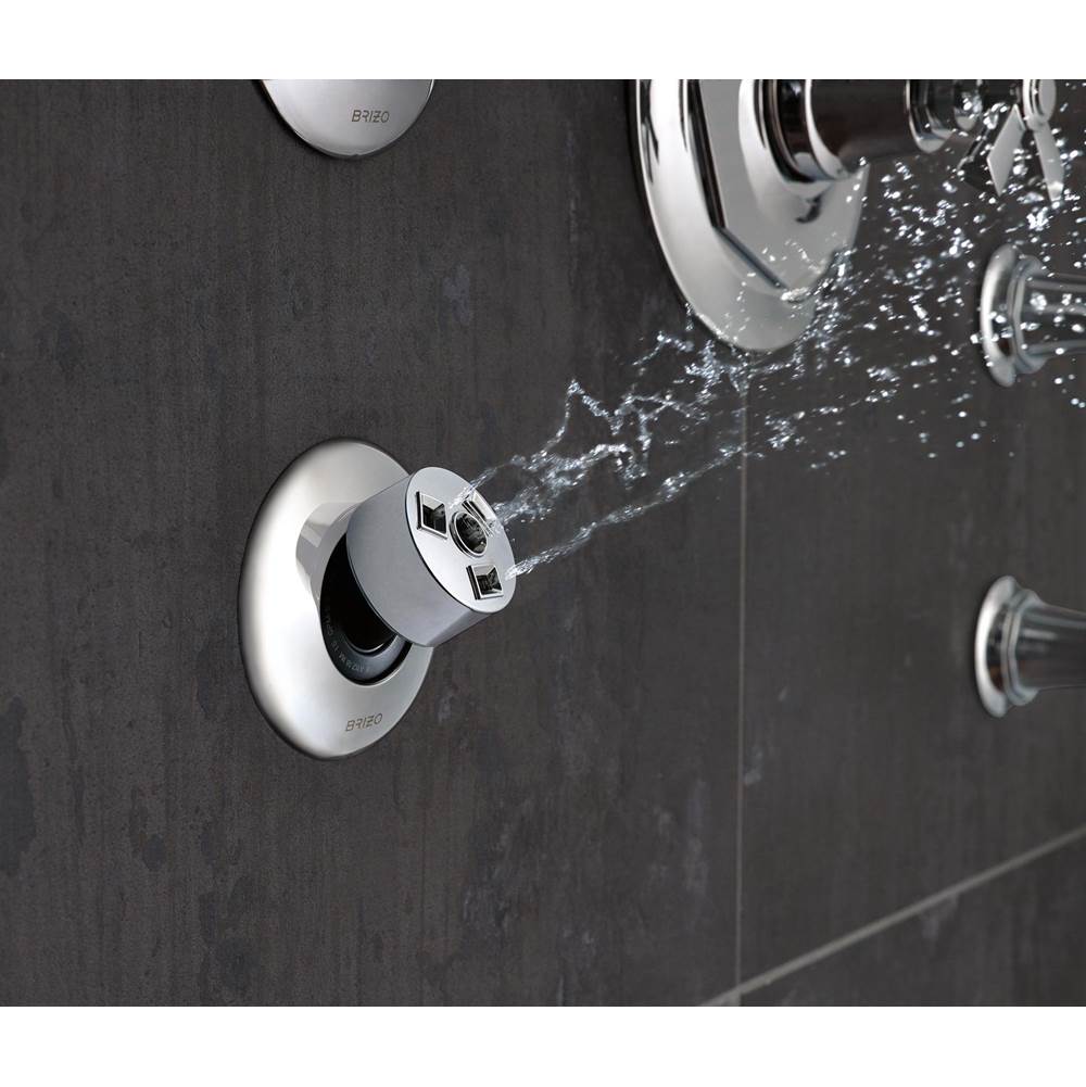 Other Hydrachoice H2Okinetic<sup></sup> Massaging Spray Head