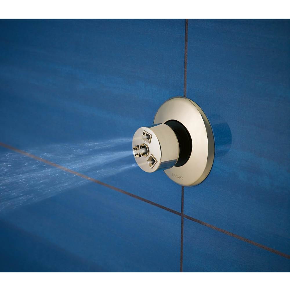 Other Hydrachoice H2Okinetic<sup></sup> Massaging Spray Head