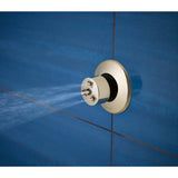 Other Hydrachoice H2Okinetic<sup></sup> Massaging Spray Head